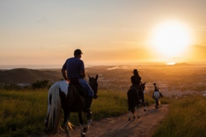 Balade à cheval dans la nature au soleil couchant