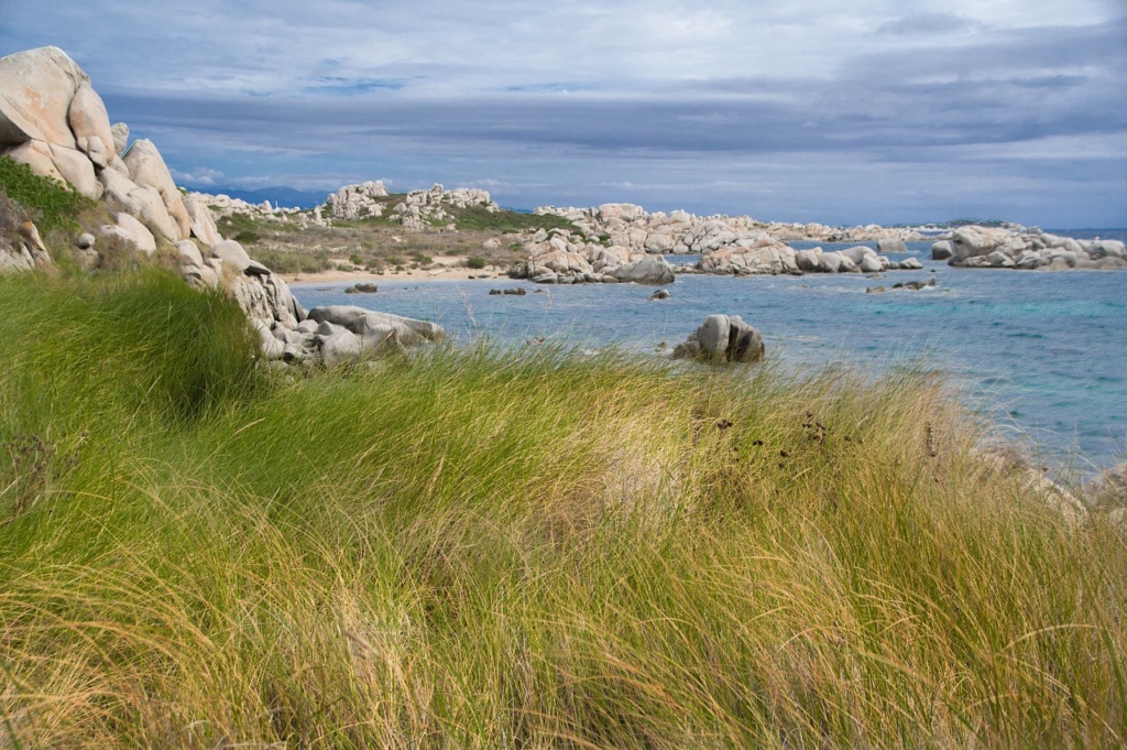 Plaine sauvage et mer en Corse